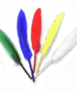 bunte Indianerfedern 12-15 cm, zum Basteln