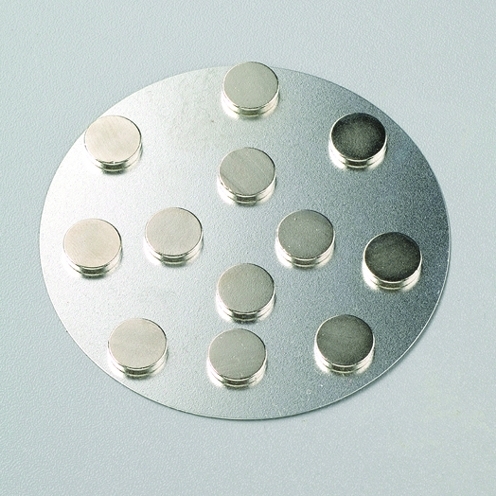 Magnete extra stark 10 mm Ø, 12 Stück ➤ ✓