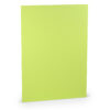 Rössler Papier 160g/qm, Maigrün