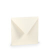 Umschlag quadratisch in Ivory