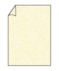 Rössler Paperado Karton A4 zur Anlassgestaltung