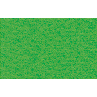 Bastelkarton 220 g/m² geprägt grasgrün