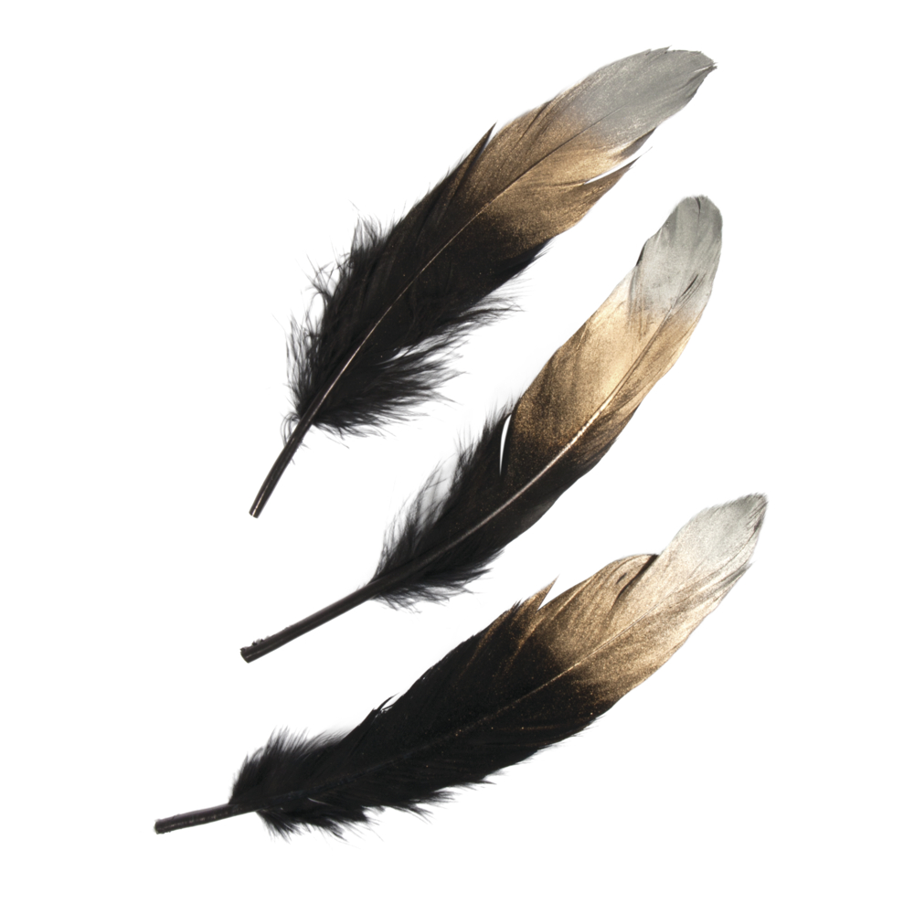 Federn mit silber-gold-Farbverlauf, schwarz, 15-20 cm ➤