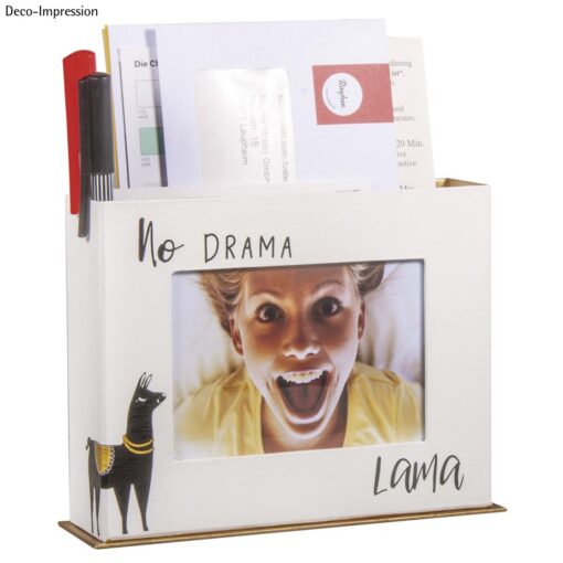Box aus Pappmache mit Lama und Foto