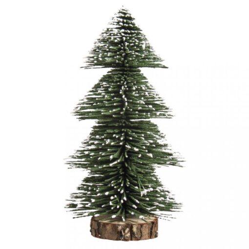 Immergrüner Tannenbaum, 20cm