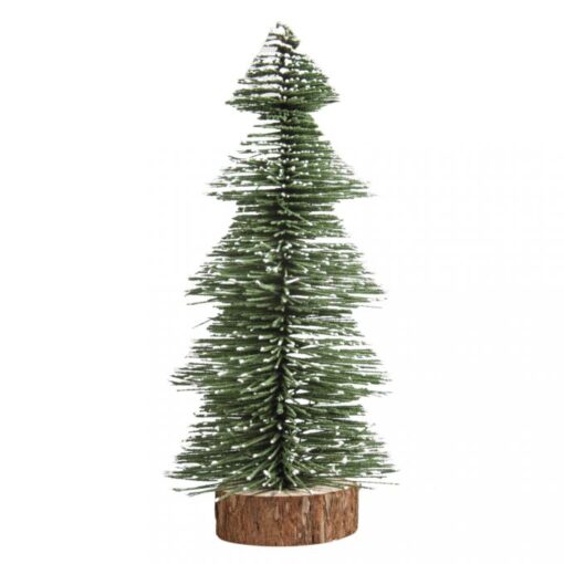 Immergrüner Tannenbaum, 25cm