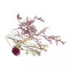 Mini-Trockenblumen in zartrosa für Dekorationen