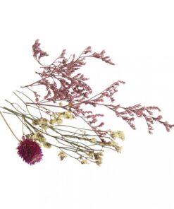 Mini-Trockenblumen in zartrosa für Dekorationen