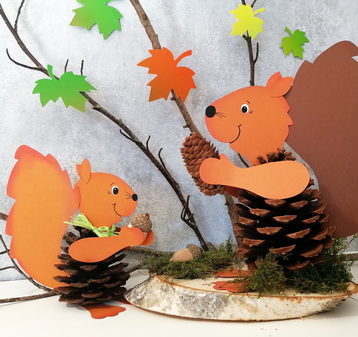 Eichhörnchen mit Pinienzapfen