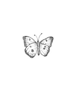 Stempel Schmetterling, 3cm ø