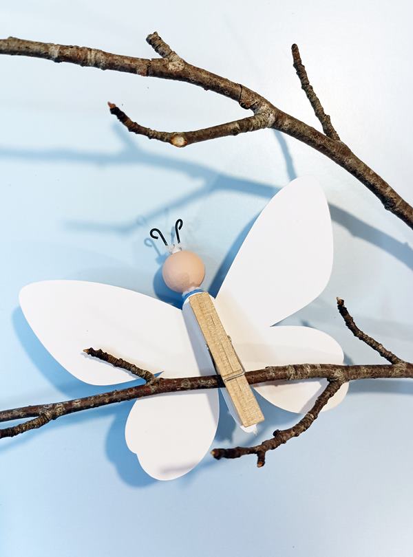 Schmetterling von der Rückseite
