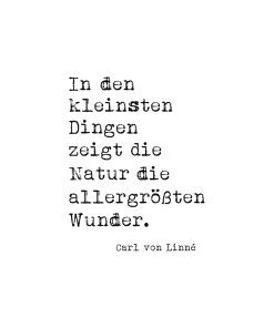 Stempelabdruck Naturwunder