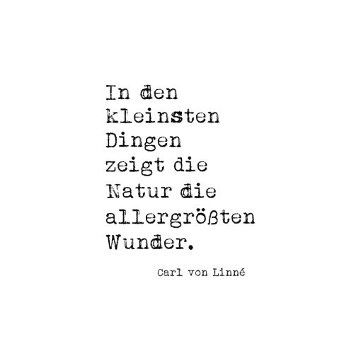 Stempelabdruck Naturwunder