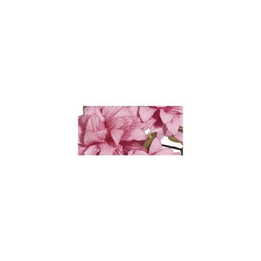 Papier-Anemonen in Rosé